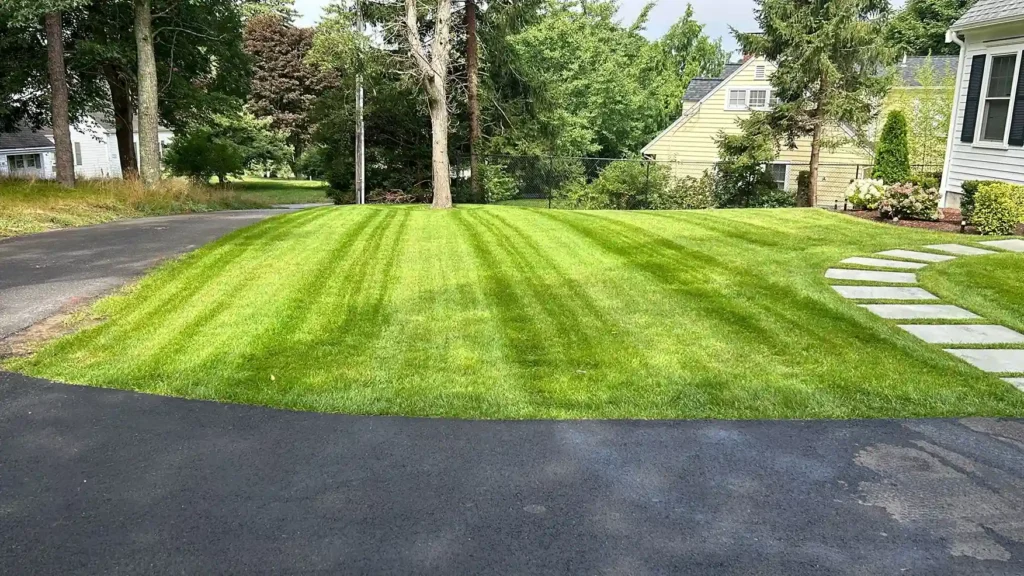 Cape Cod masonry and landscaping project